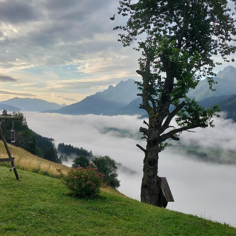 Fotosegnalazione di Villabassa