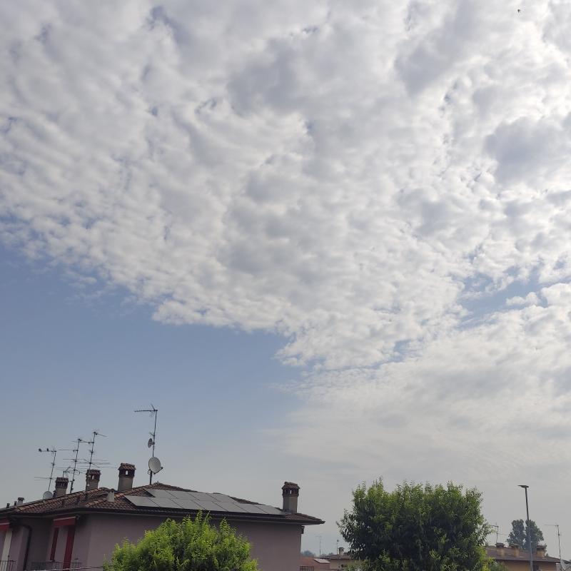 Fotosegnalazione di Dello