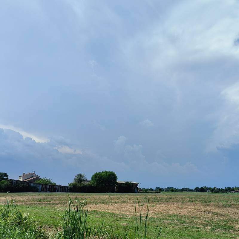 Fotosegnalazione di Fiesso d'artico