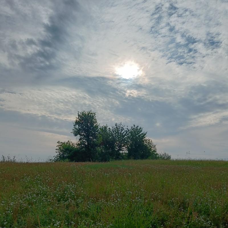 Fotosegnalazione di Castelnuovo don bosco