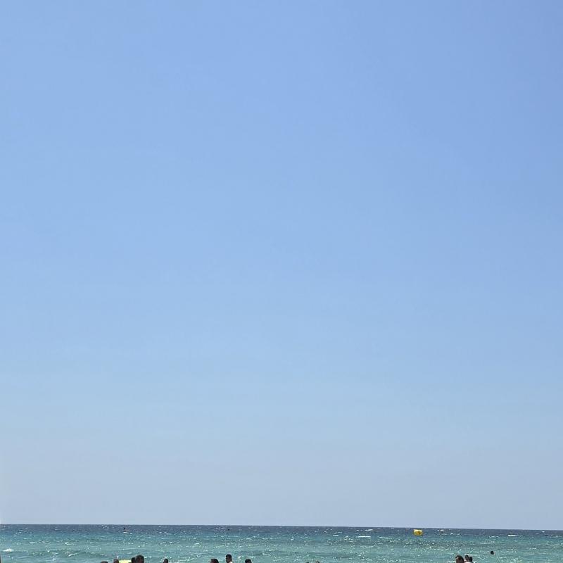 Fotosegnalazione di Salve