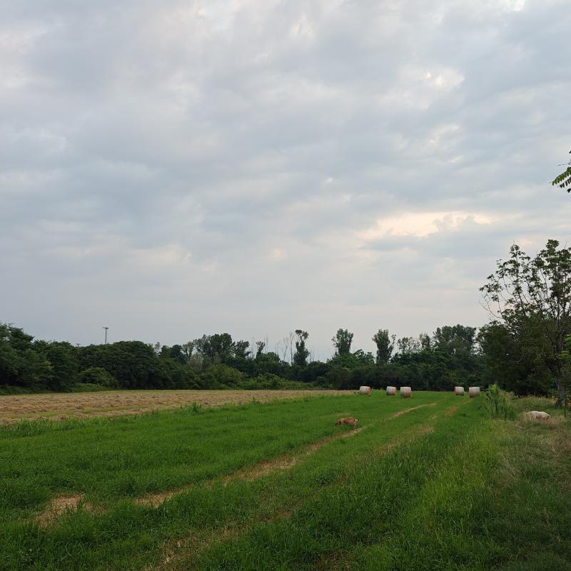 Fotosegnalazione di Rivalta di torino
