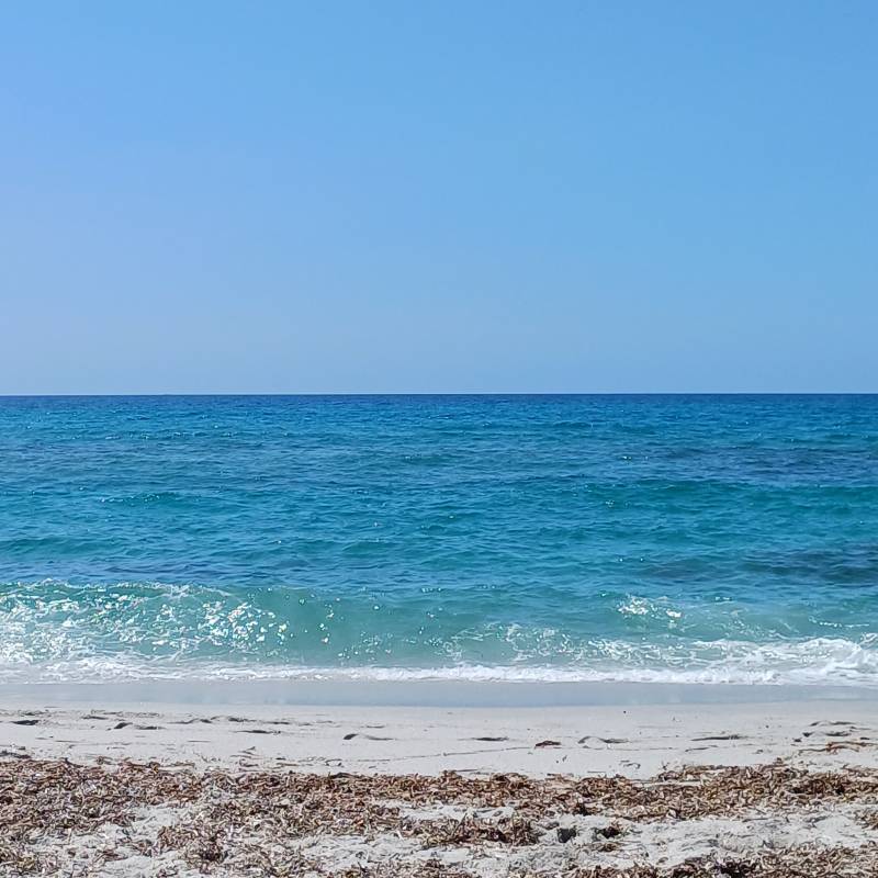 Fotosegnalazione di Tharros
