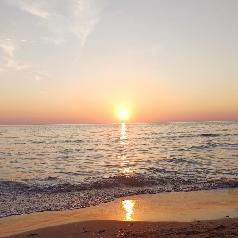 Fotosegnalazione di San vincenzo