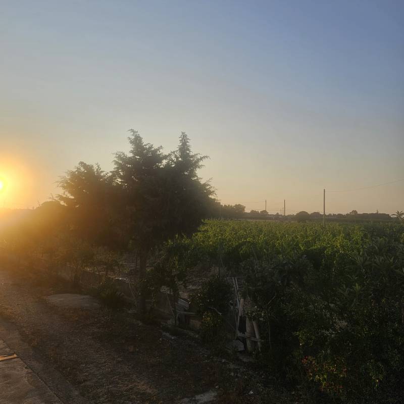 Fotosegnalazione di Gioia del colle