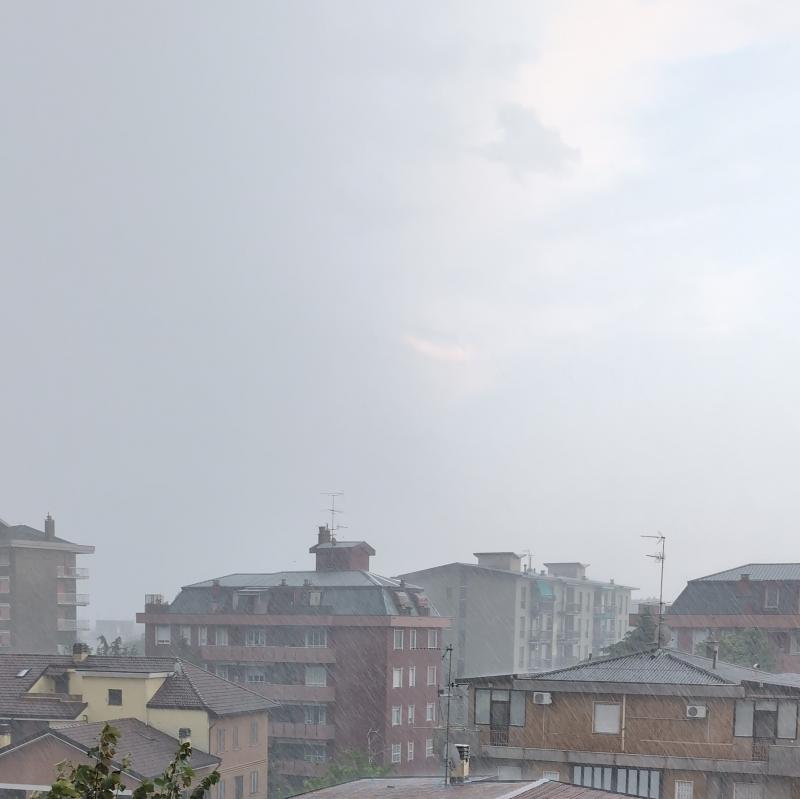 Fotosegnalazione di Cesano boscone