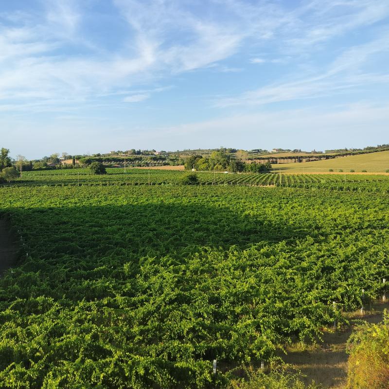 Fotosegnalazione di Rimini sud