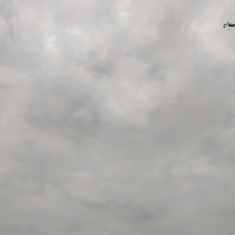 Fotosegnalazione di Bassano del grappa