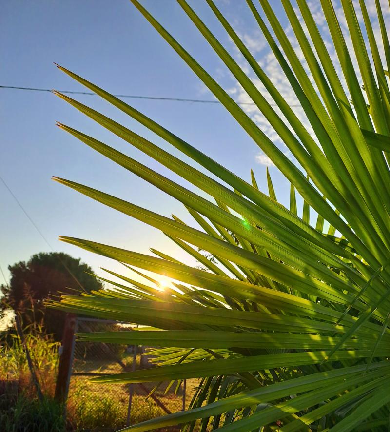 anche oggi giornata di sole e caldo