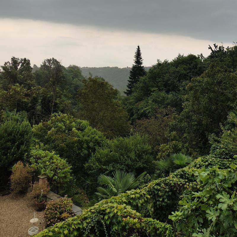 Fotosegnalazione di Barbania