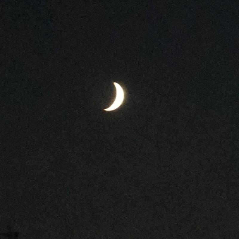 Stasera cielo chiaro e luna