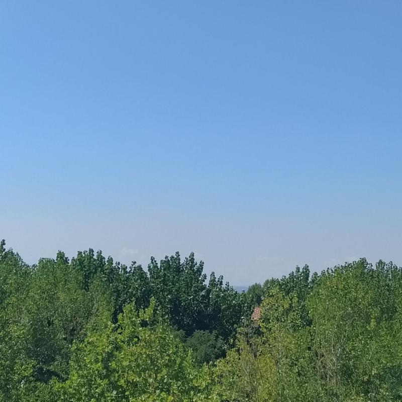 Fotosegnalazione di San mauro a mare