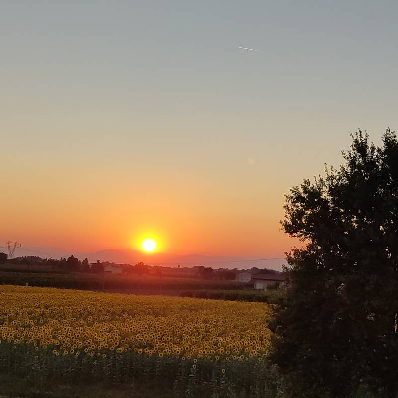 Tramonto in giallo come i girasoli.....