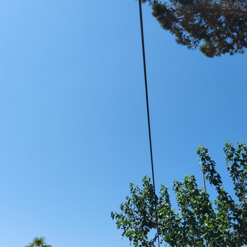 Fotosegnalazione di Fiumicino