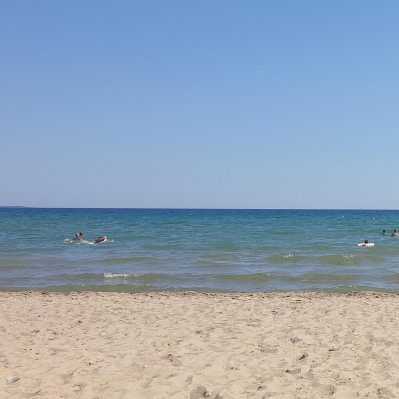 Fotosegnalazione di Chiatona