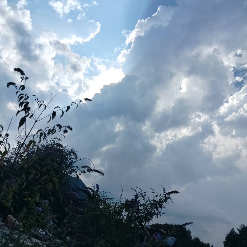 Fotosegnalazione di Malesco