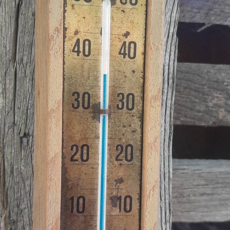Fotosegnalazione di Sremska mitrovica