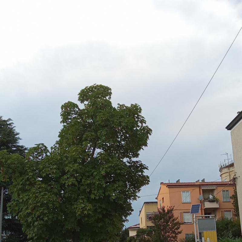 Fotosegnalazione di Padova madonna pellegrina - sant'osvaldo
