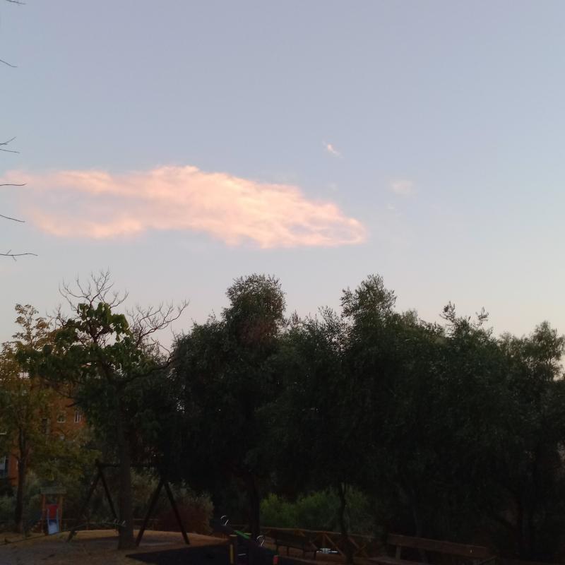 Fotosegnalazione di Savona centro urbano