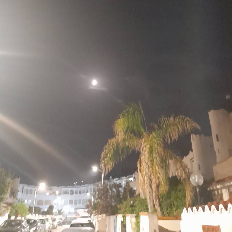 Fotosegnalazione di Saponara marittima