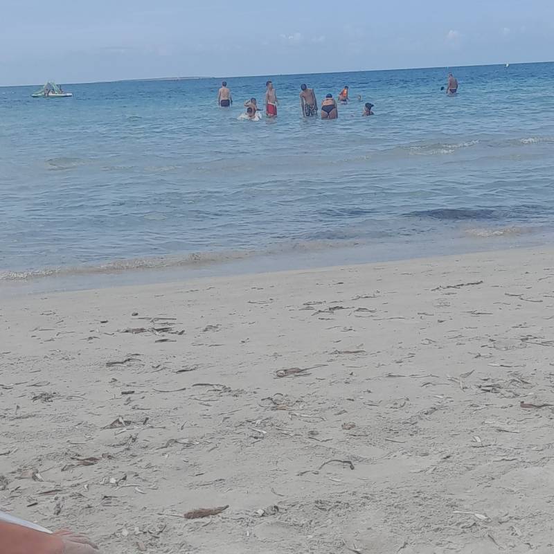 Fotosegnalazione di Putzu idu