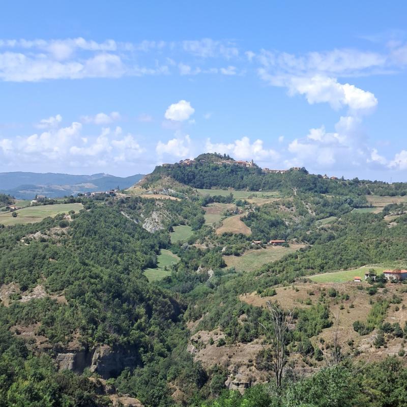 Fotosegnalazione di Montechiaro d'acqui