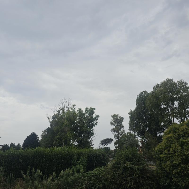 Fotosegnalazione di Latina ovest