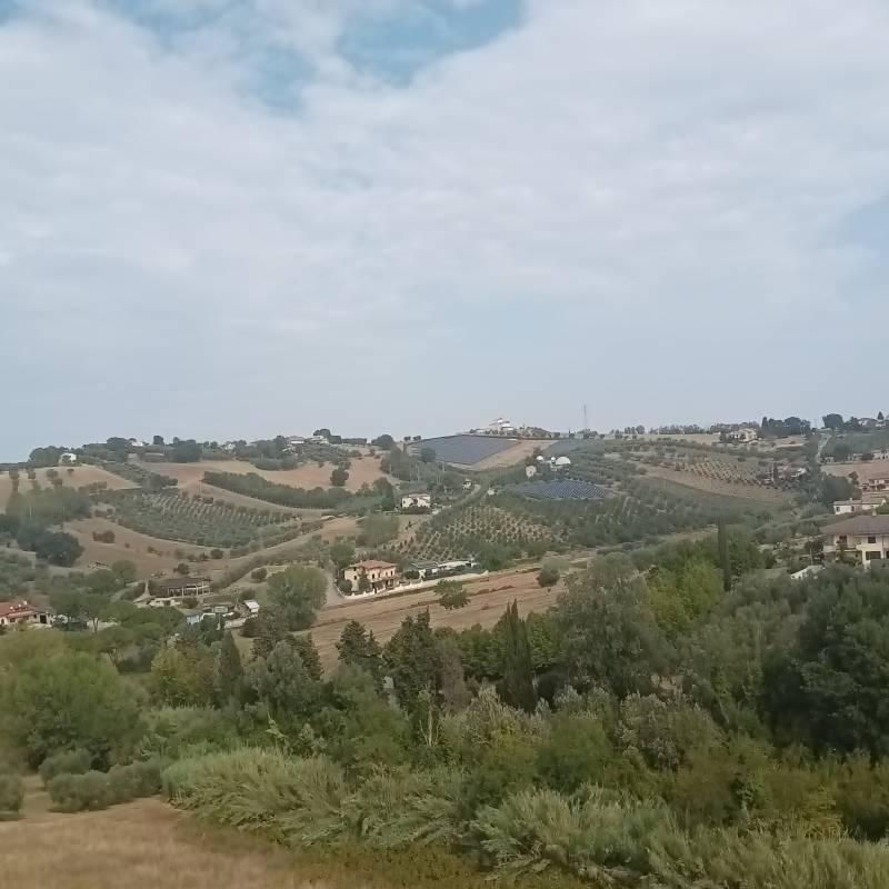 Fotosegnalazione di Mosciano sant'angelo