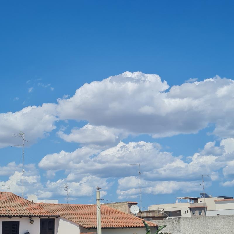 Fotosegnalazione di Cassibile