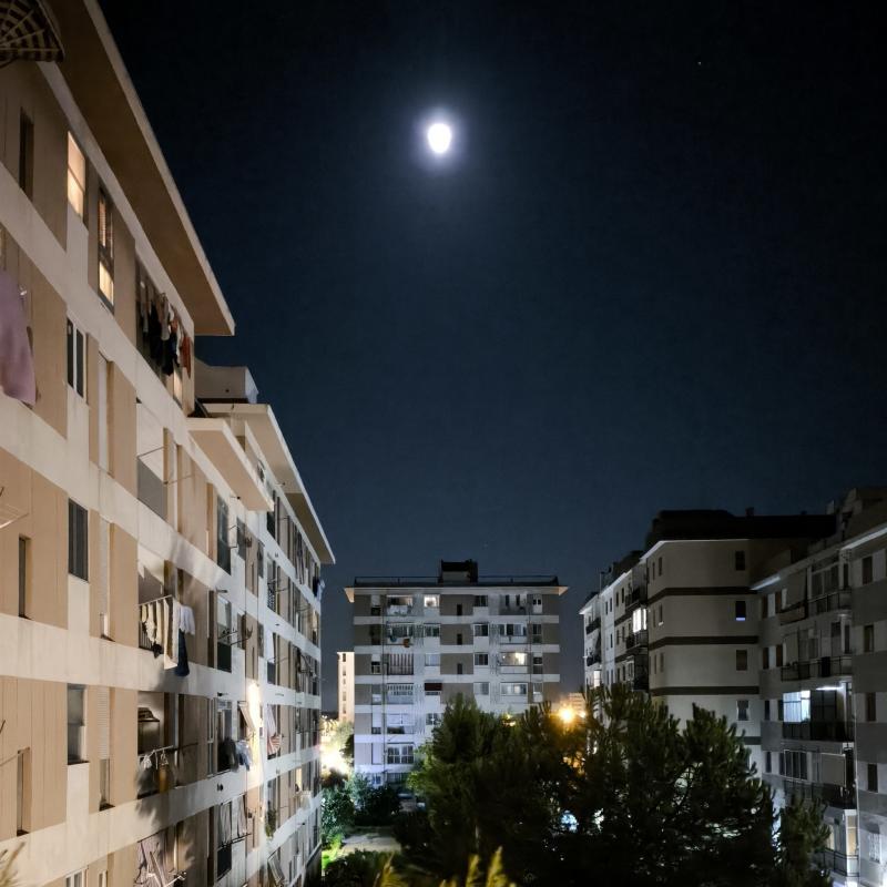 Fotosegnalazione di Bari japigia