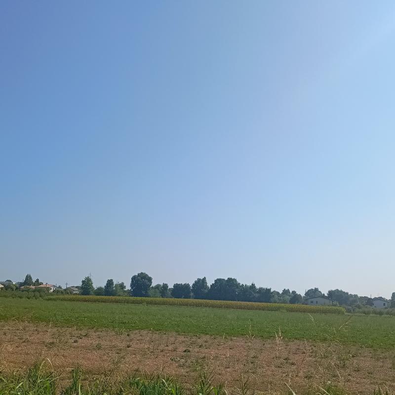 Fotosegnalazione di Preganziol