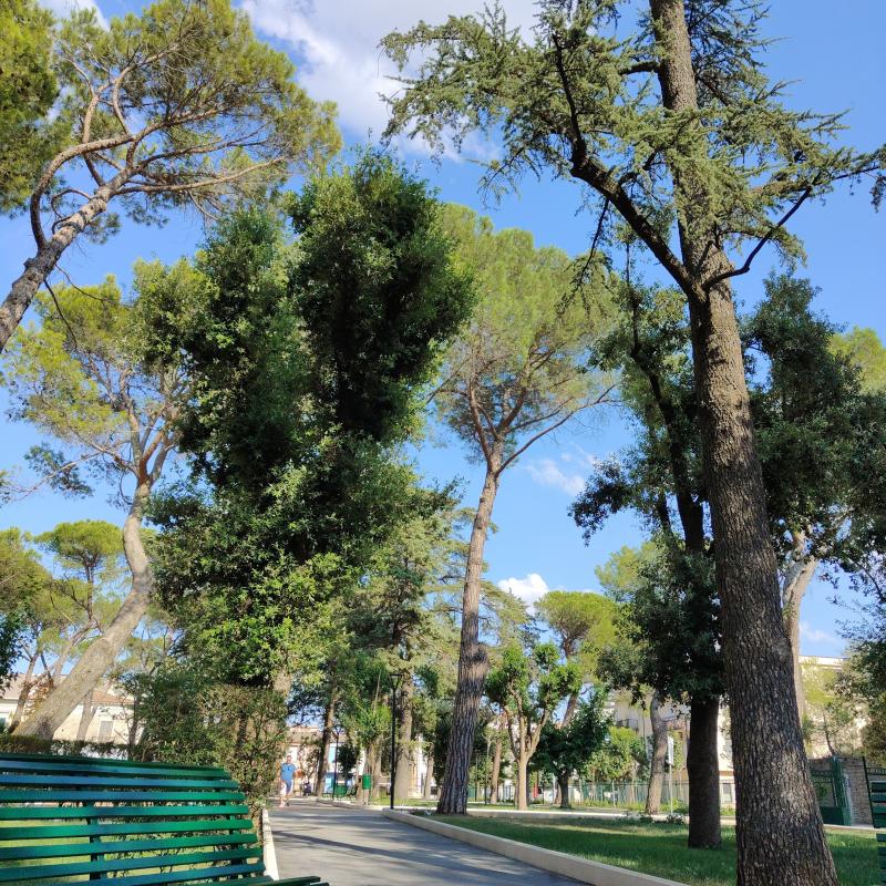 Fotosegnalazione di Genzano di lucania