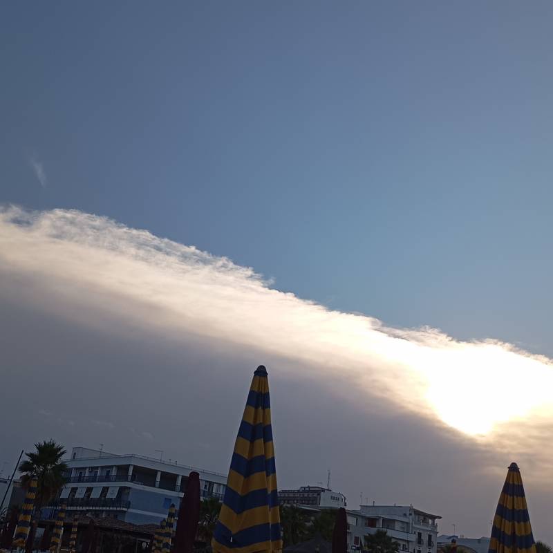 Fotosegnalazione di Margherita di savoia