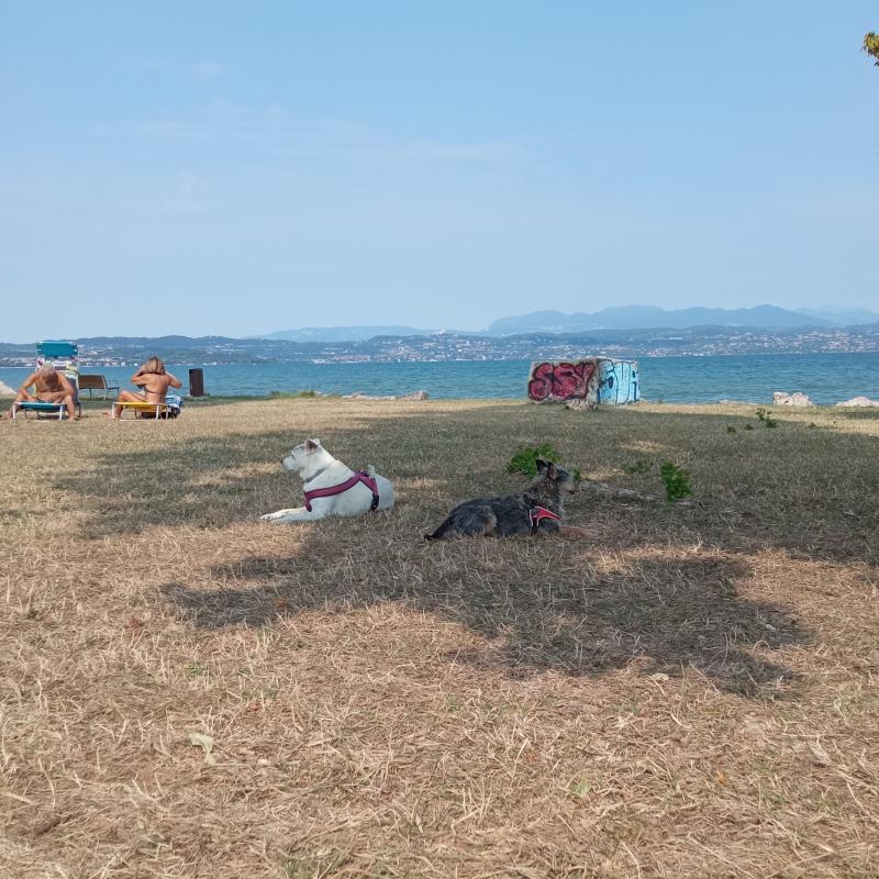 Jonny e Kelly in spiaggia Brema a Sirmione