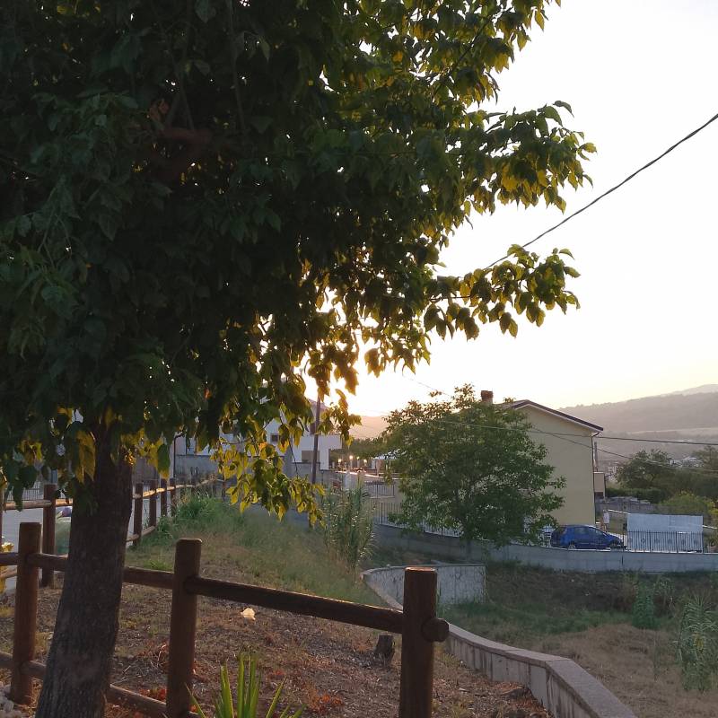 Alba di un nuovo giorno