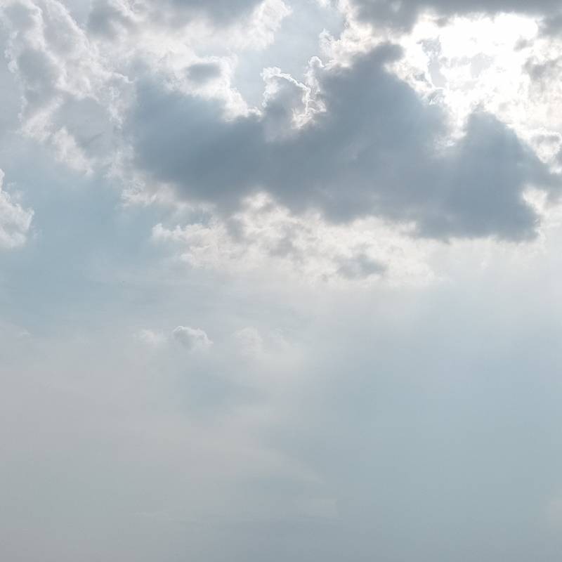 Fotosegnalazione di Lido conchiglie