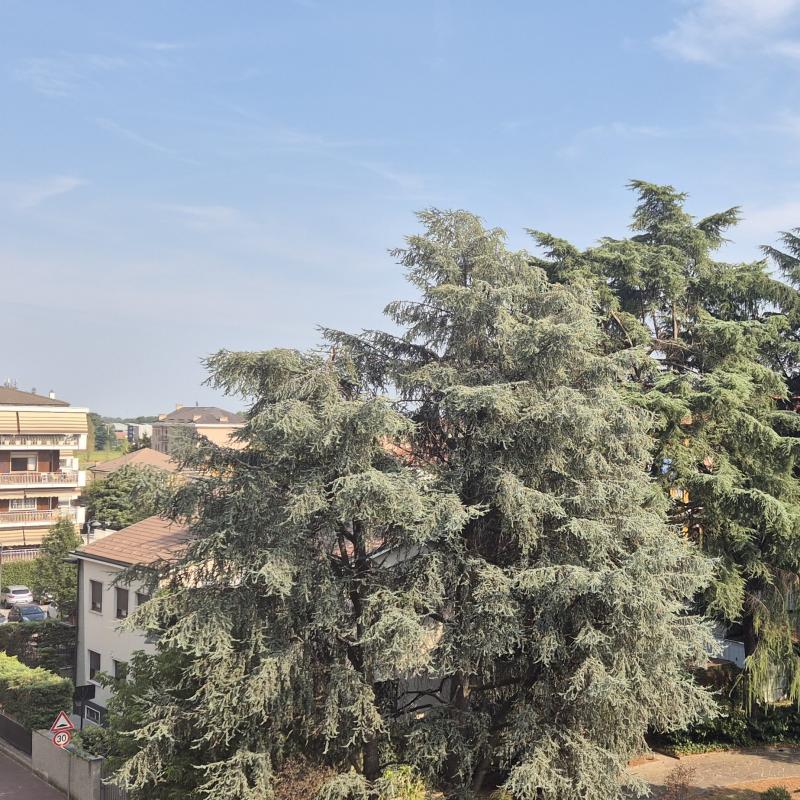 Via san francesco vista su viale assunta