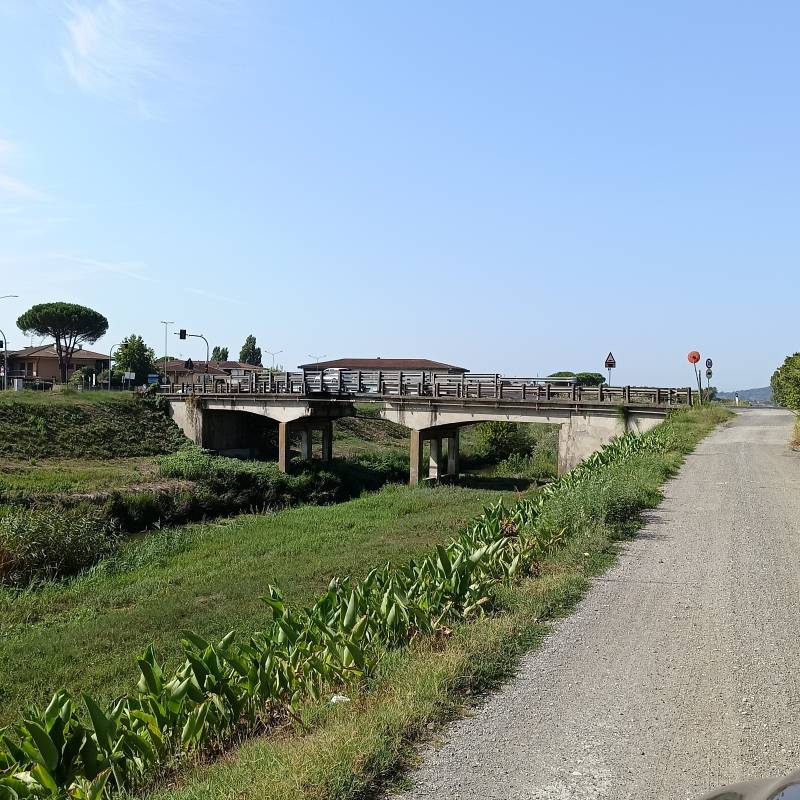 Fotosegnalazione di Buti