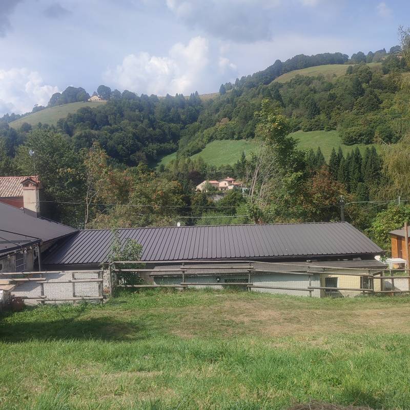 Fotosegnalazione di Pove del grappa