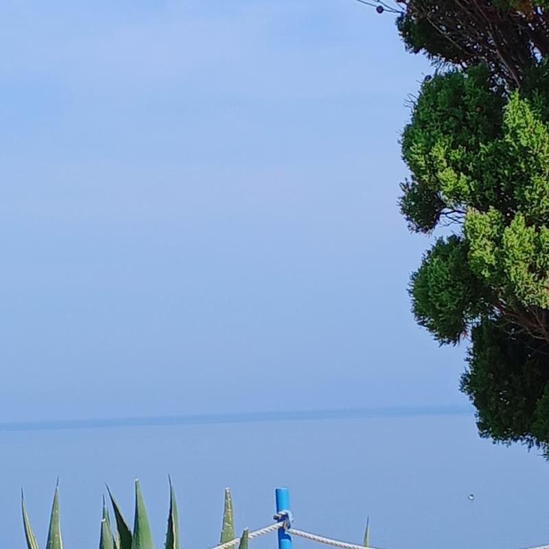 Fotosegnalazione di Piraino