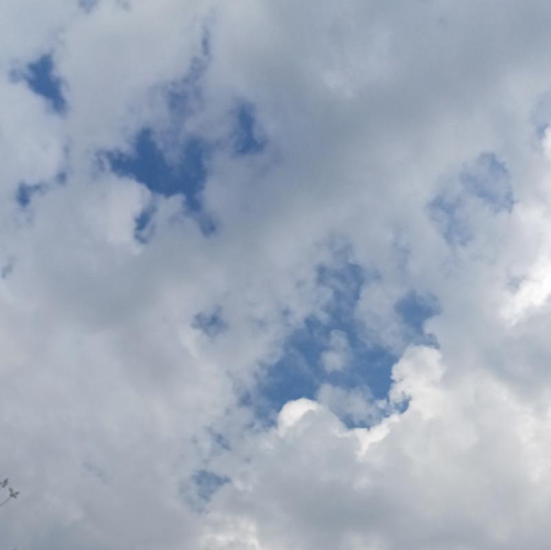 Nuvoloso con aria e possibilita' di pioggia tra poco