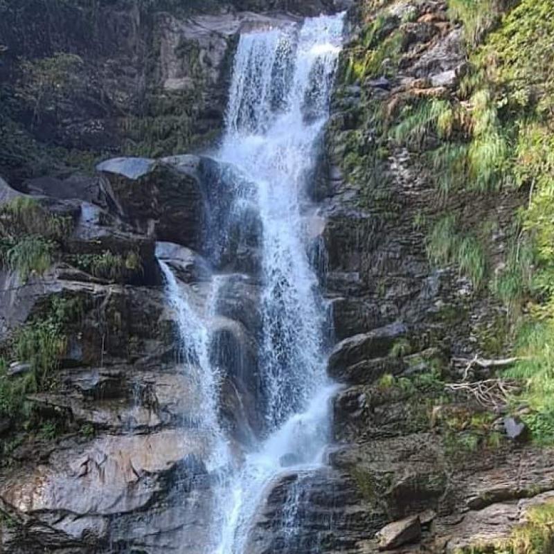 torrente goglio
