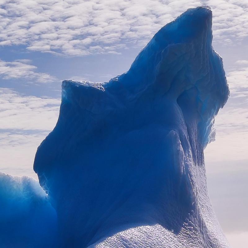 meraviglia della natura agosto 2024