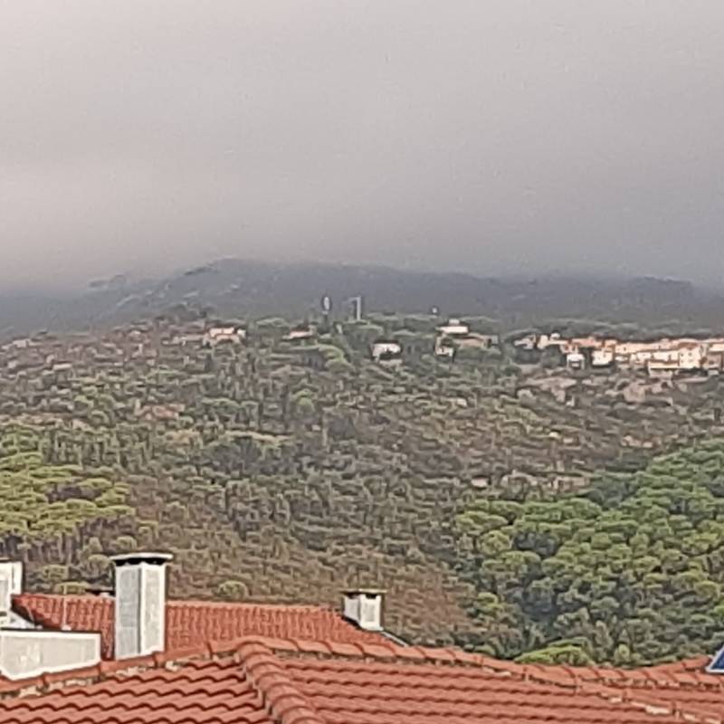 Fotosegnalazione di Marina di campo