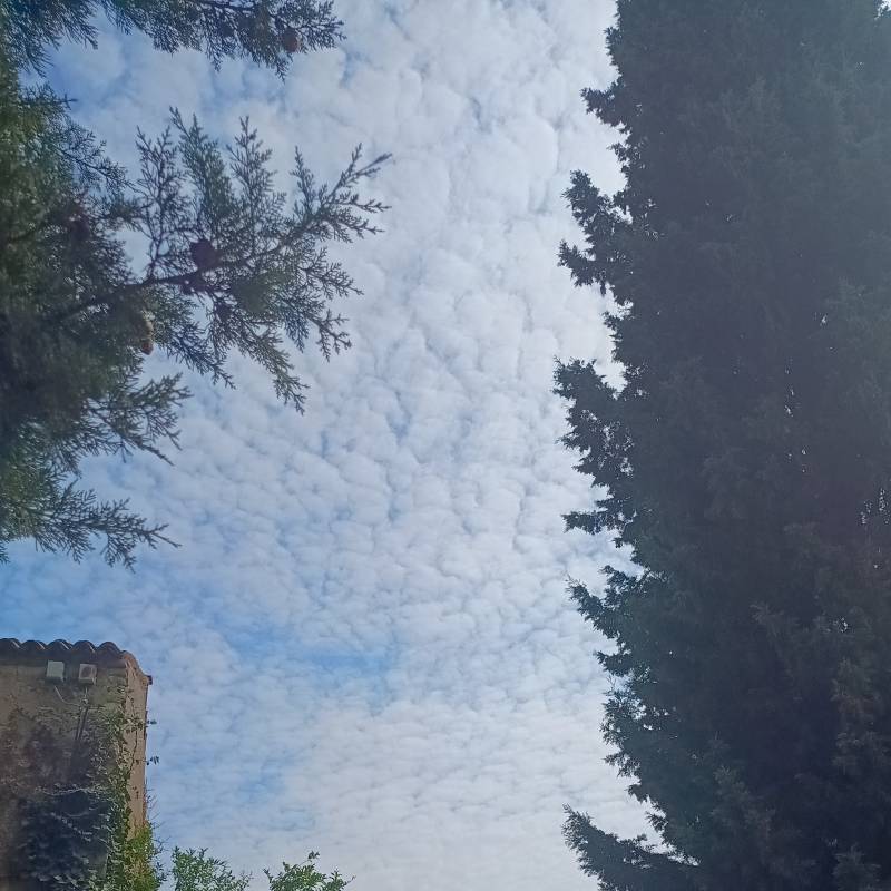 Fotosegnalazione di Arqua' petrarca