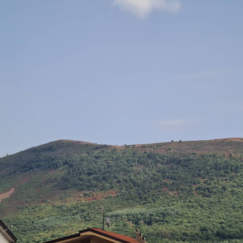 Fotosegnalazione di Valle di maddaloni