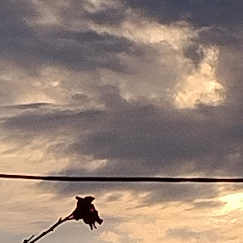 Fotosegnalazione di Gorizia lucinico
