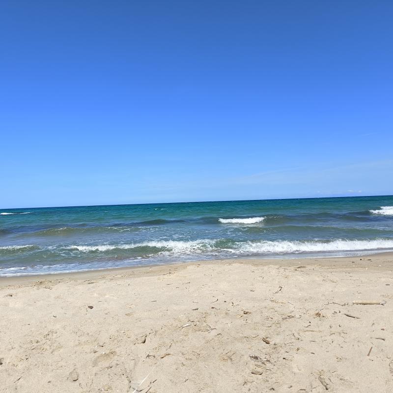 Fotosegnalazione di Platamona