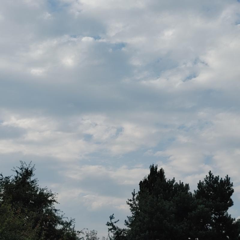 Fotosegnalazione di Somma lombardo