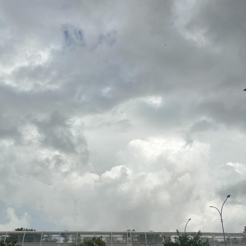 Fotosegnalazione di Borghesiana